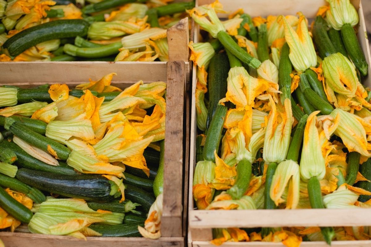 Fiori-di-zucca-fritti-gourmetaly-food-tour-roma-2