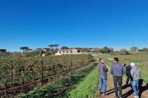 riserva della cascina- visita in cantina visit o the vineyard (1)