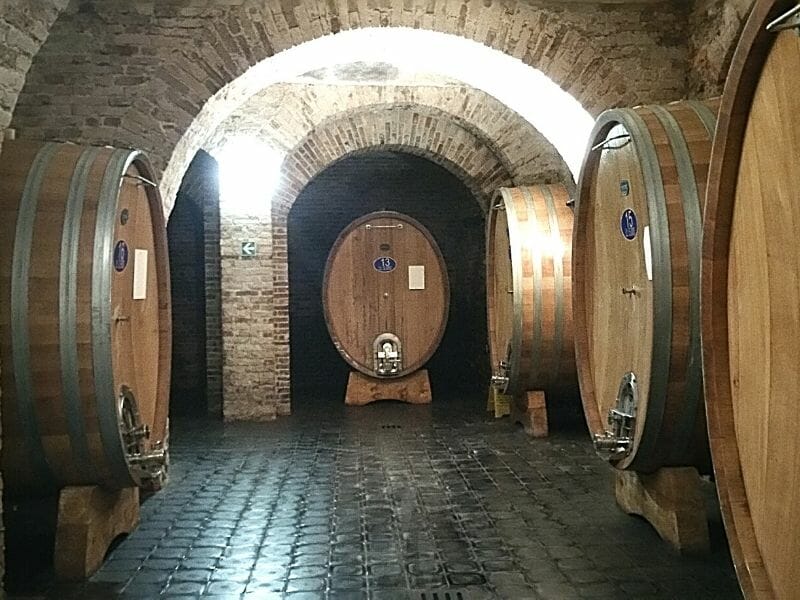 gaja cellar barolo cantina