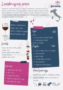 tasting notes for lambrusco wines