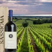 che vino è il sassicaia - wine supertuscan