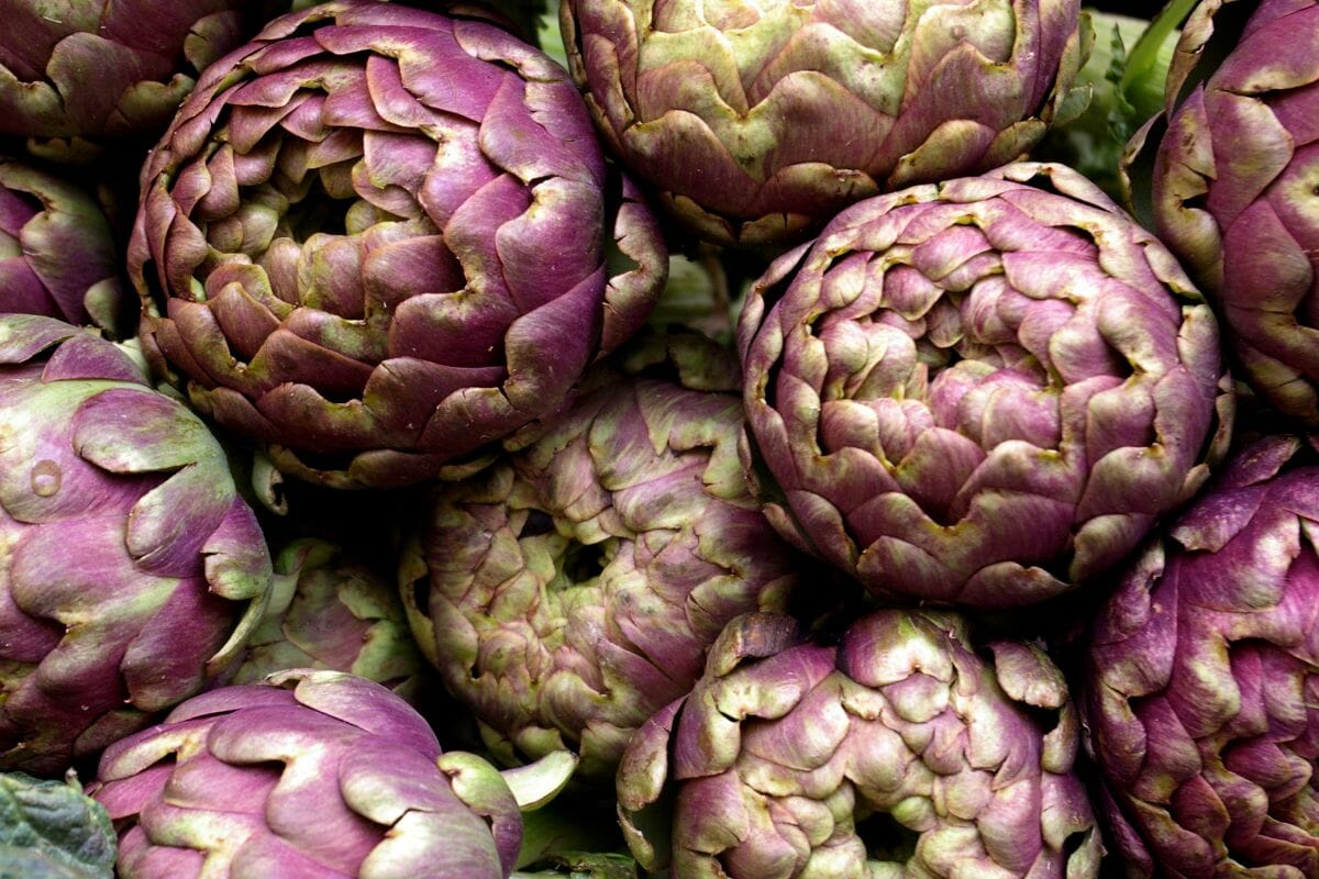 festival del carciofo romanesco