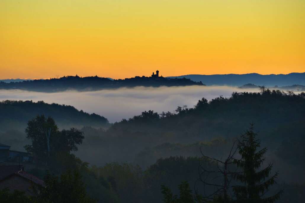 asti moscato