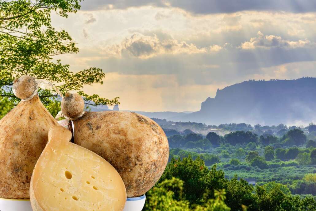 basilicata caciocavallo