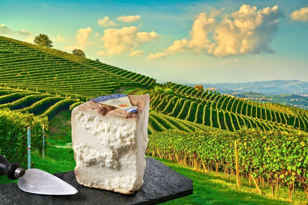 piemonte formaggio castelmagno