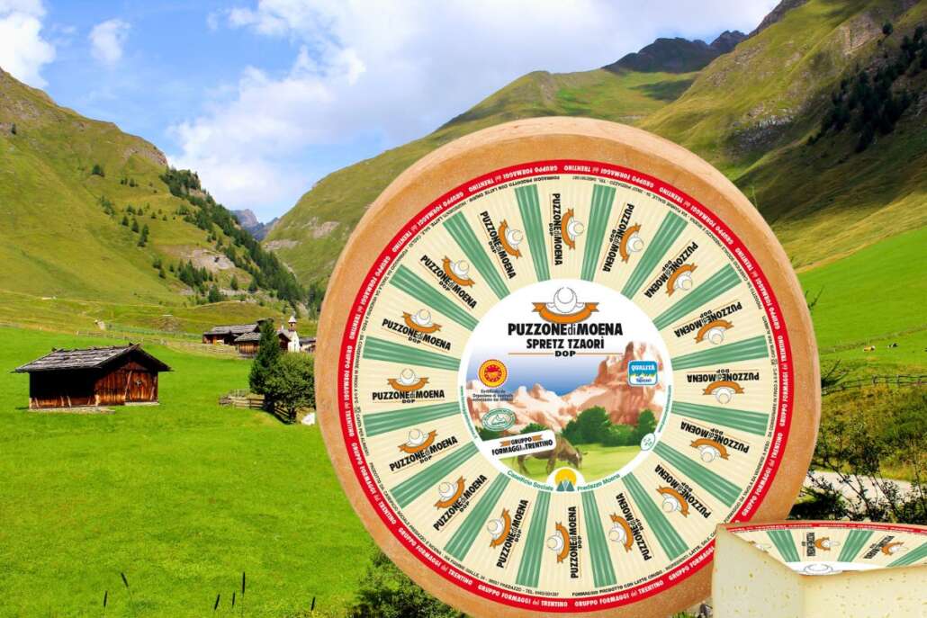 trentino puzzone di moena trentino