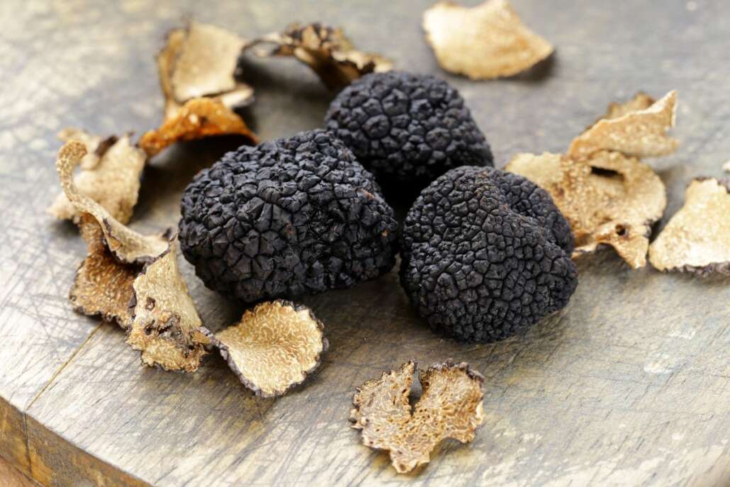 TARTUFO