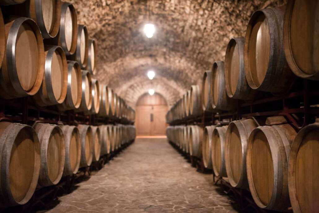 L'ANNATA DEL VINO _ THE VINTAGE OF THE WINE