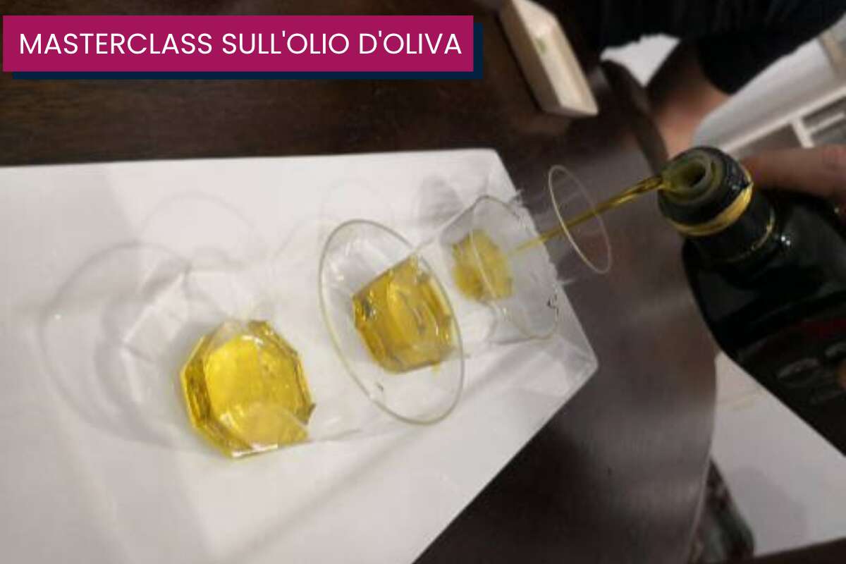 evo private class (3)
