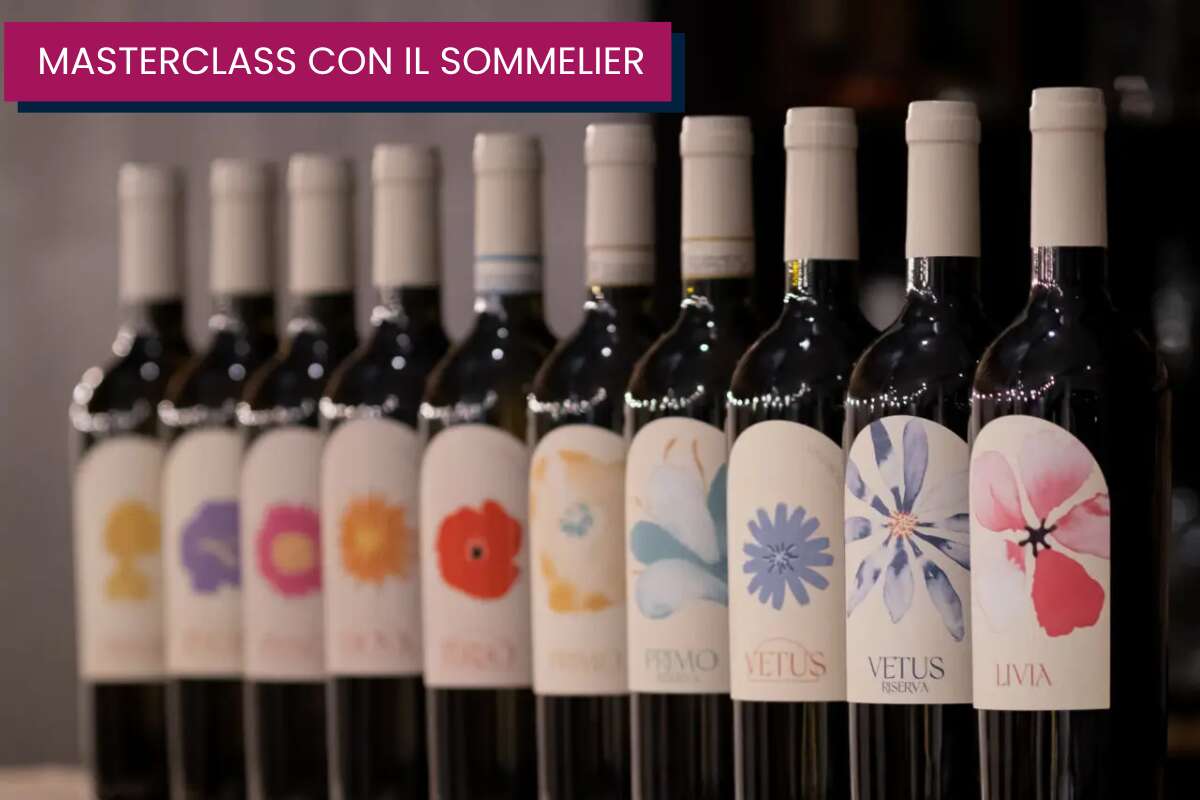 greatest wine (3)