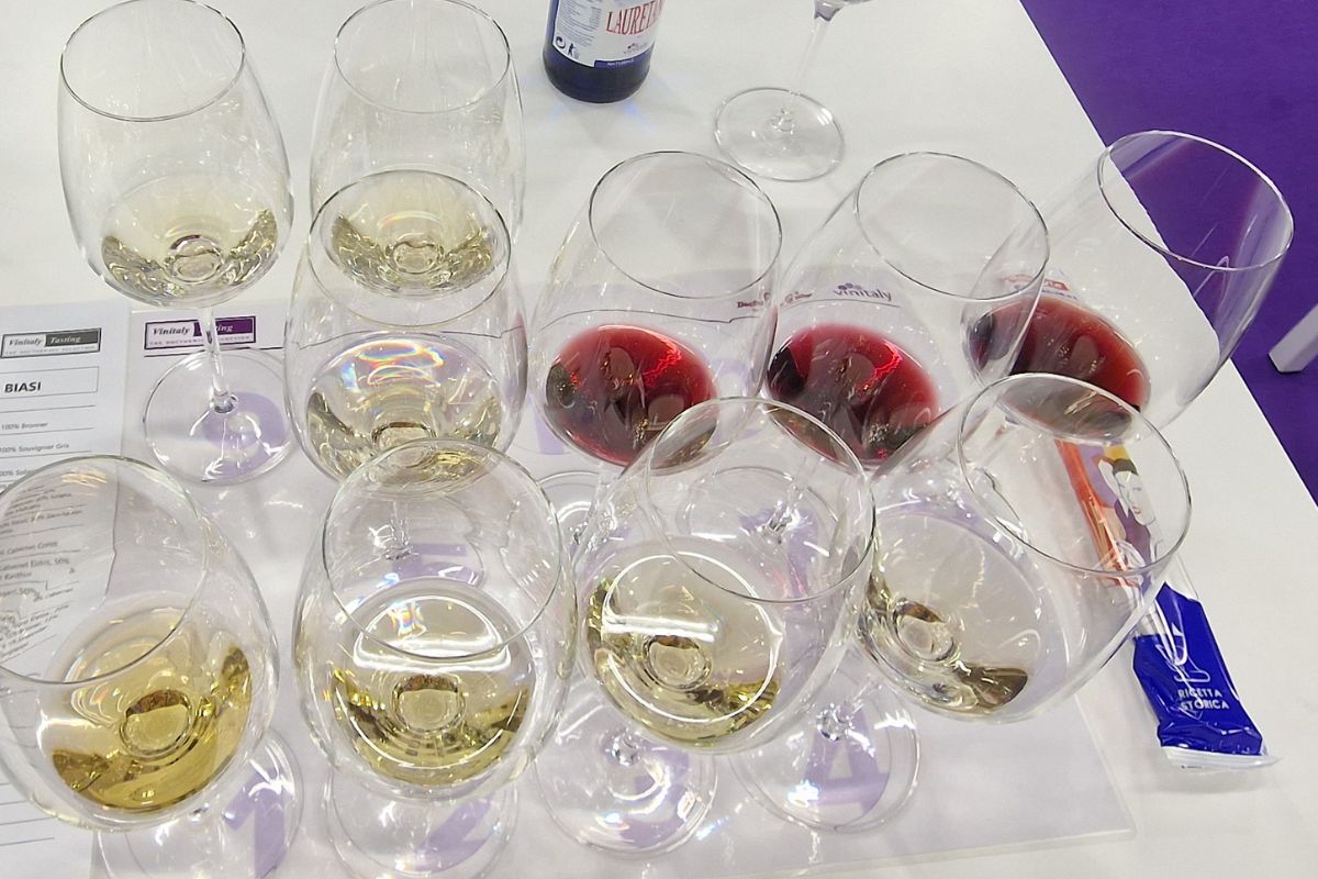 rome wine tasting dinner experience - gourmetaly food tours 11