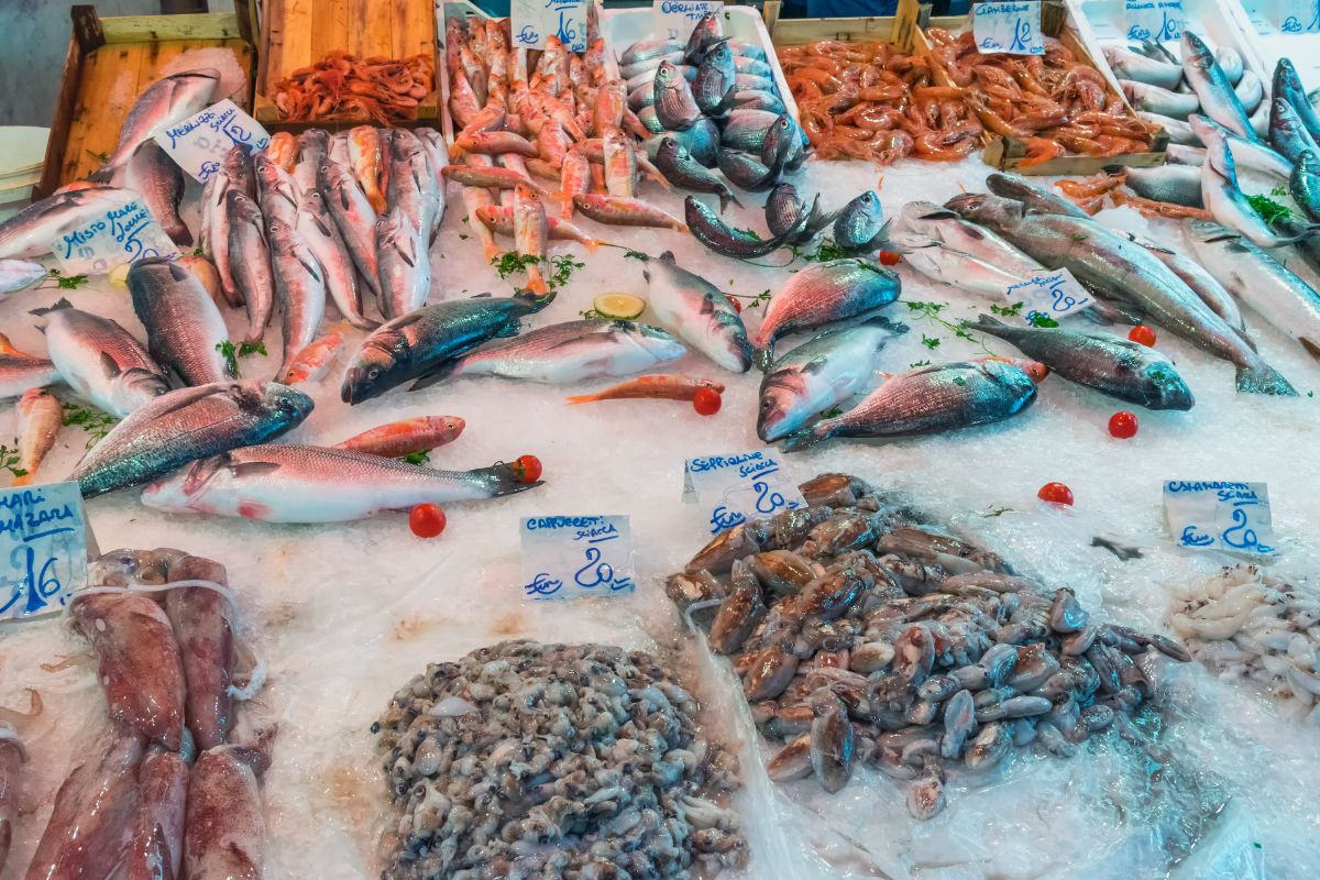 sicily food guide what to eat gourmetaly food tours fish market mercato