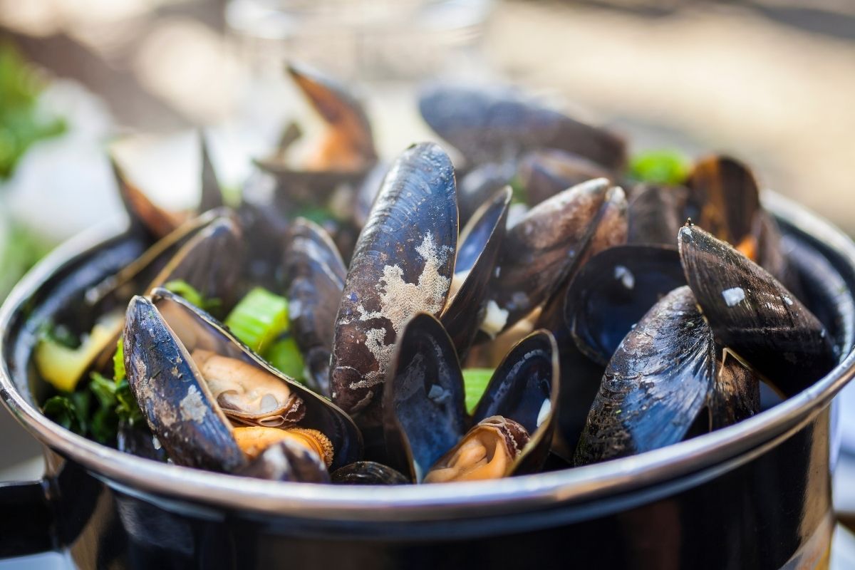 sorrento food guide what to eat gourmetaly food tours cozze