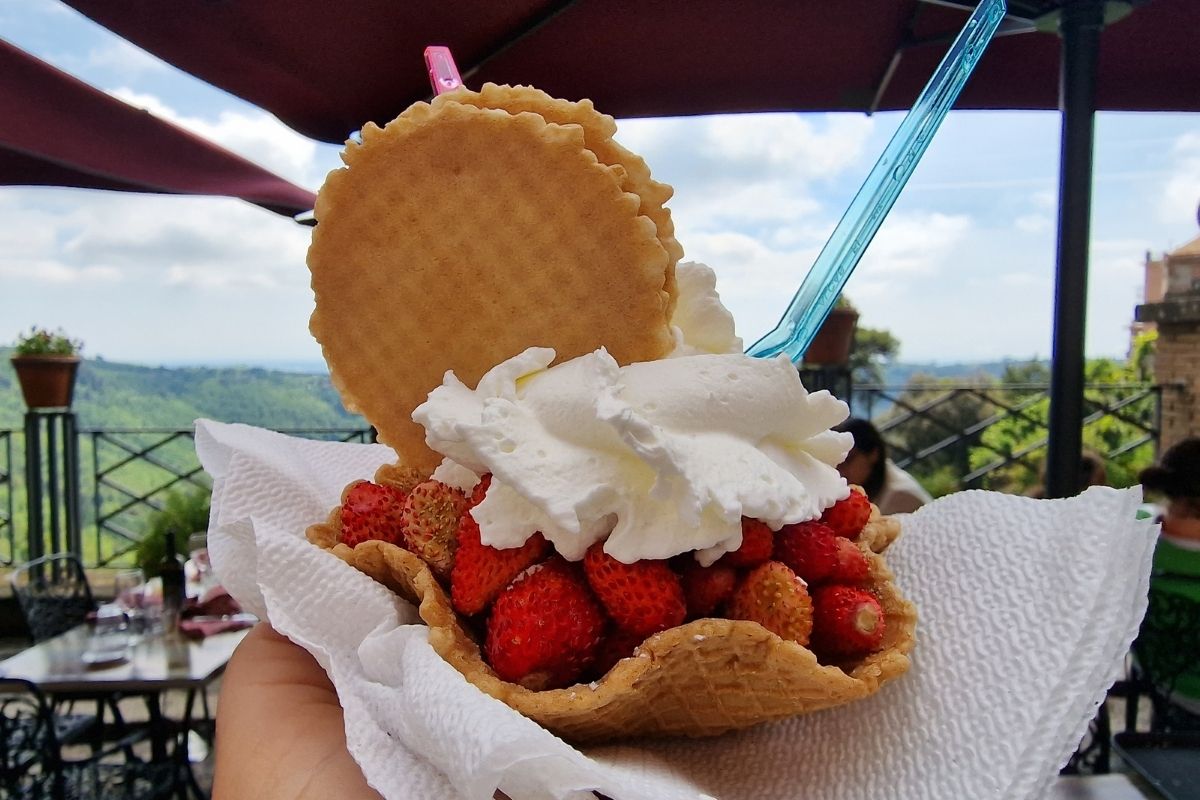 ragoline di bosco di nemi post blog gourmetaly strawberry copyright Daniela Cassoni Gourmetaly.com