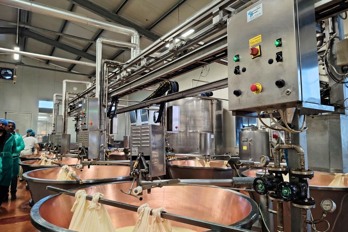 parmigiano reggiano parmesan gourmetaly 2