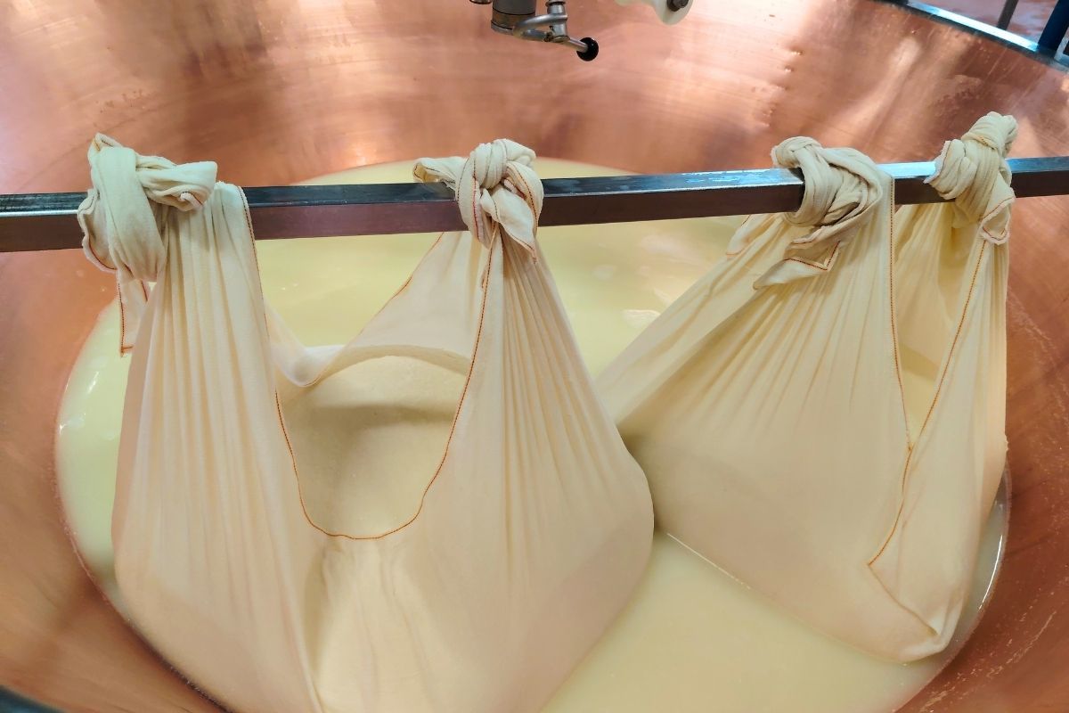 parmigiano reggiano parmesan gourmetaly