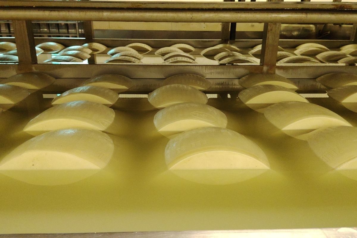 parmigiano reggiano parmesan gourmetaly