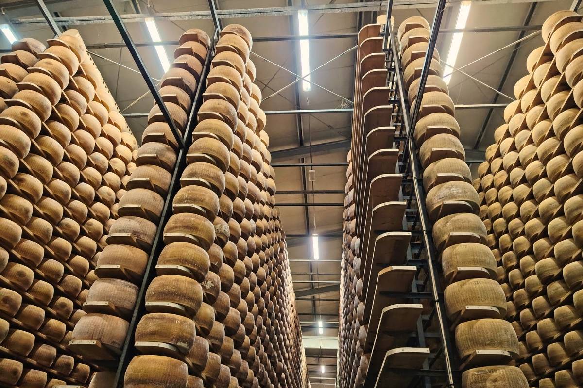 parmigiano reggiano parmesan gourmetaly